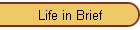 Life in Brief